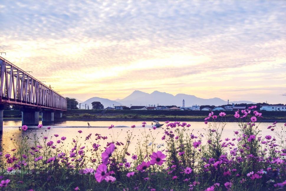 大野川河畔の夕景の画像