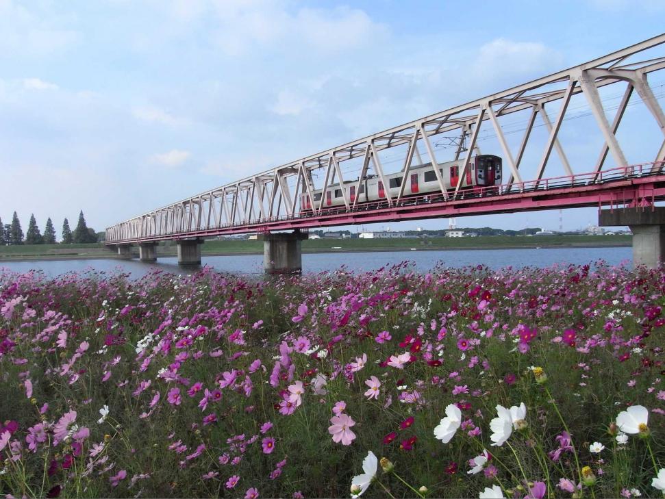 日豊線大野川鉄橋の画像