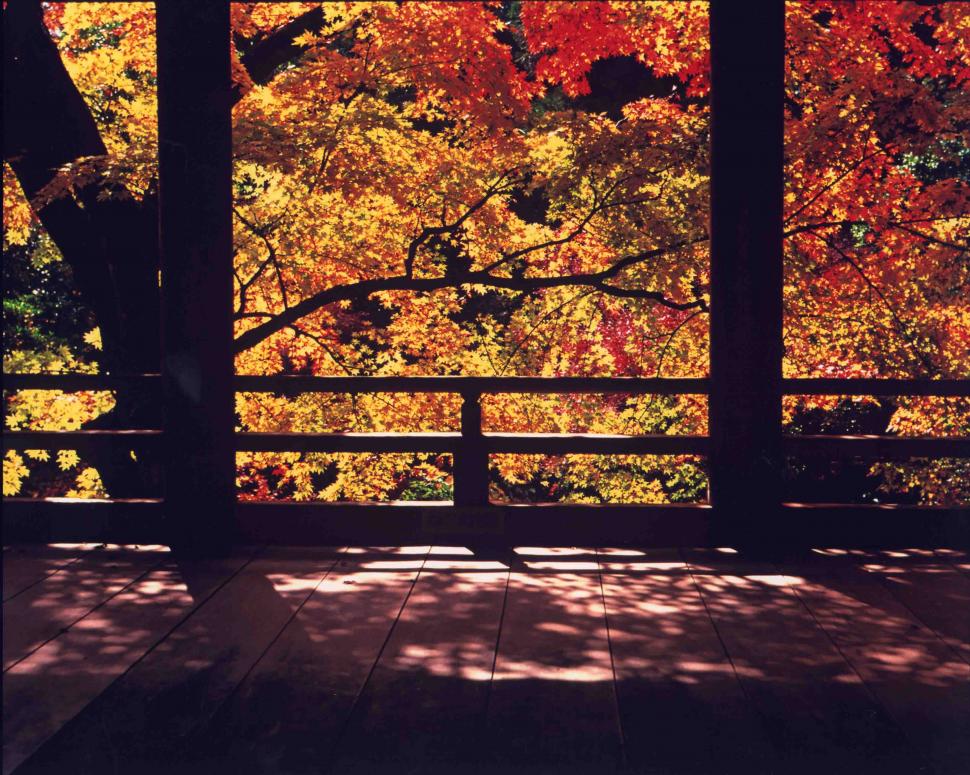 秋影の画像