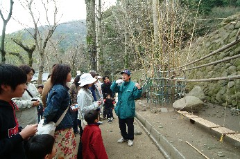 高崎山自然動物園見学の画像