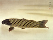 福田平八郎「鯉」の写真