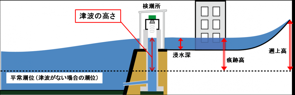 津波高さの説明用画像