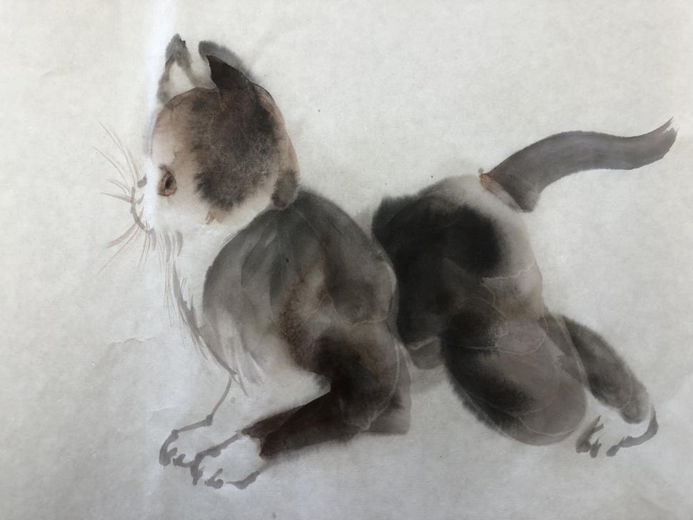 矢野さんのワークショップ画像