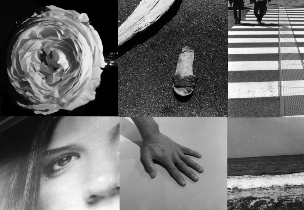 ワークショップ画像