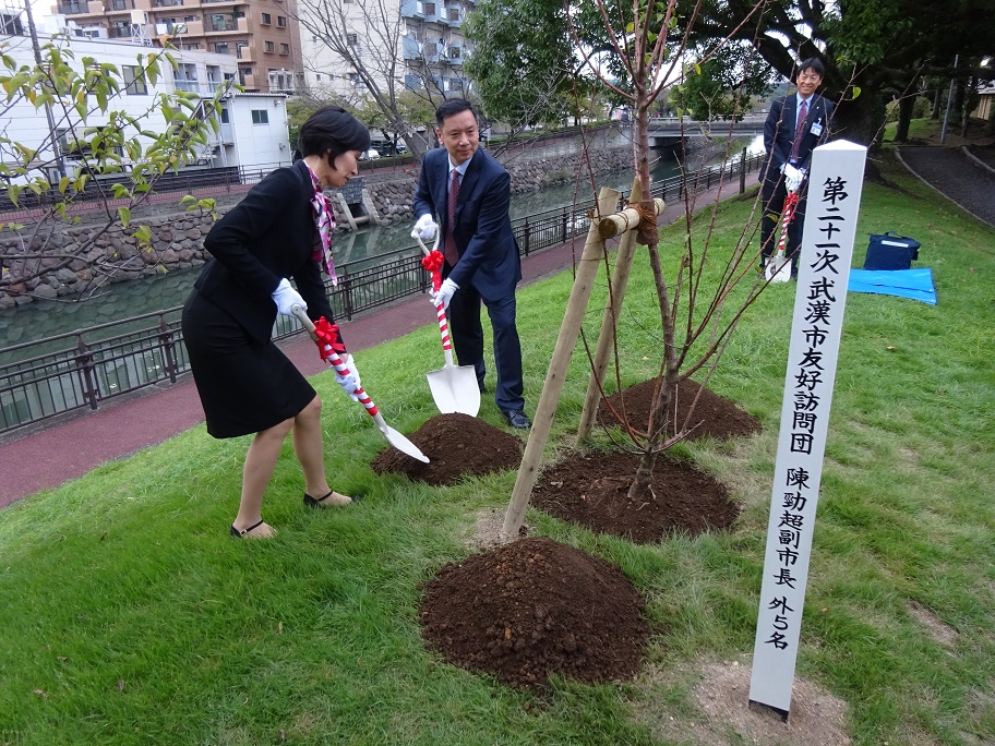 植樹の様子