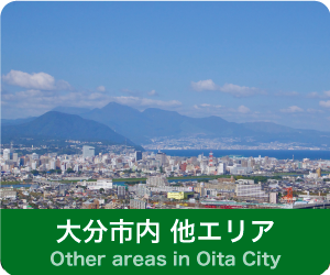 大分市内他エリア