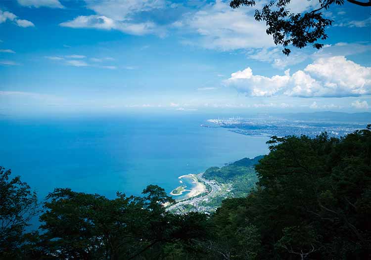 高崎山山頂からの眺め