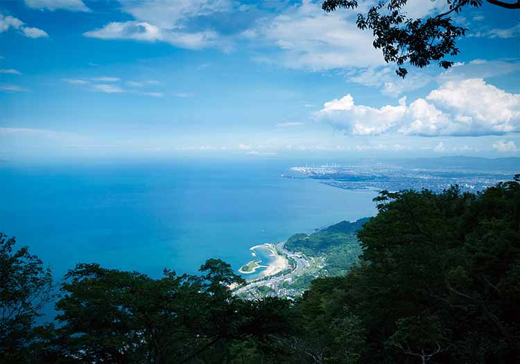 高崎山山頂からの眺め