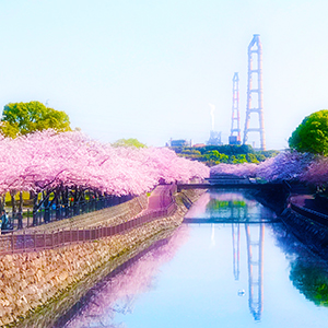 平和市民公園の写真