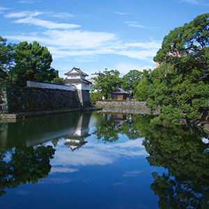 大分城址公園の写真