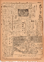 市報おおいた昭和25年10月6日号