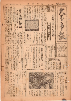 市報おおいた昭和26年8月11日号