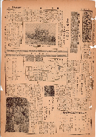 市報おおいた昭和31年7月16日号