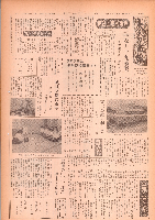 市報おおいた昭和43年7月1日号