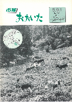 市報おおいた平成5年9月1日号