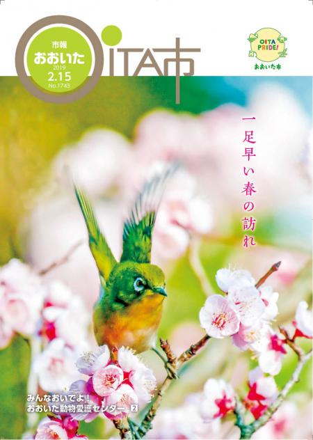 市報おおいた平成31年2月15日号表紙