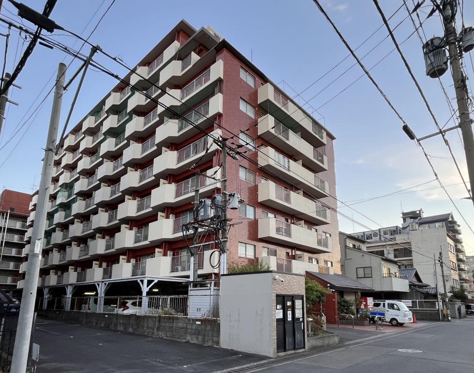 正面1