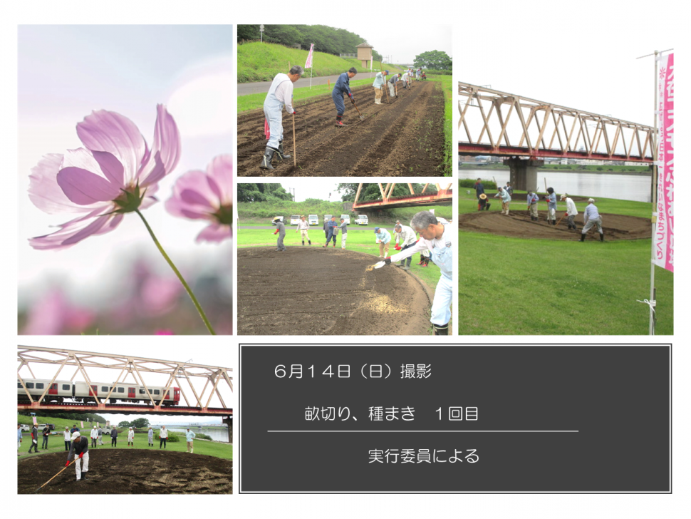 種まき1回目