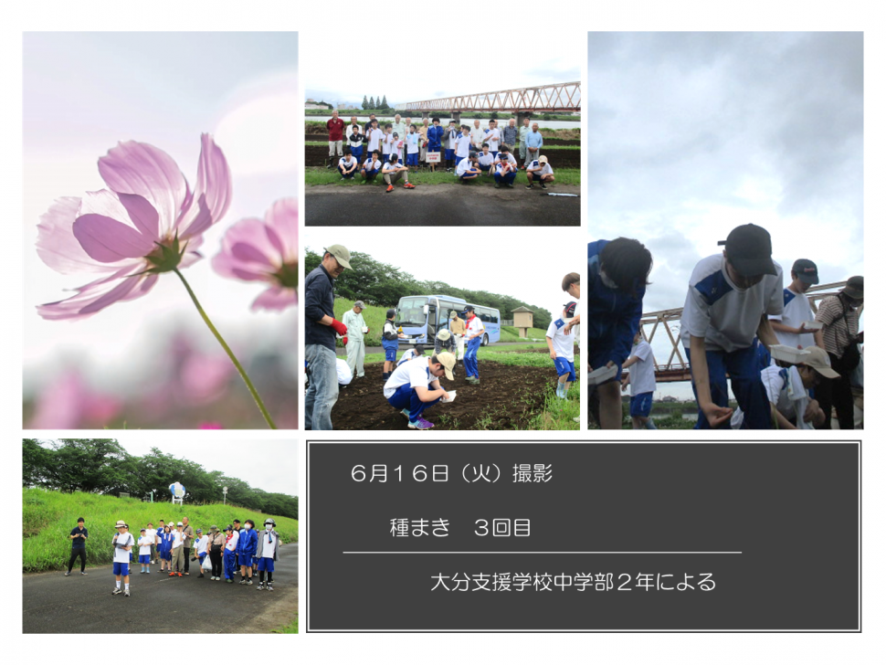 種まき3回目