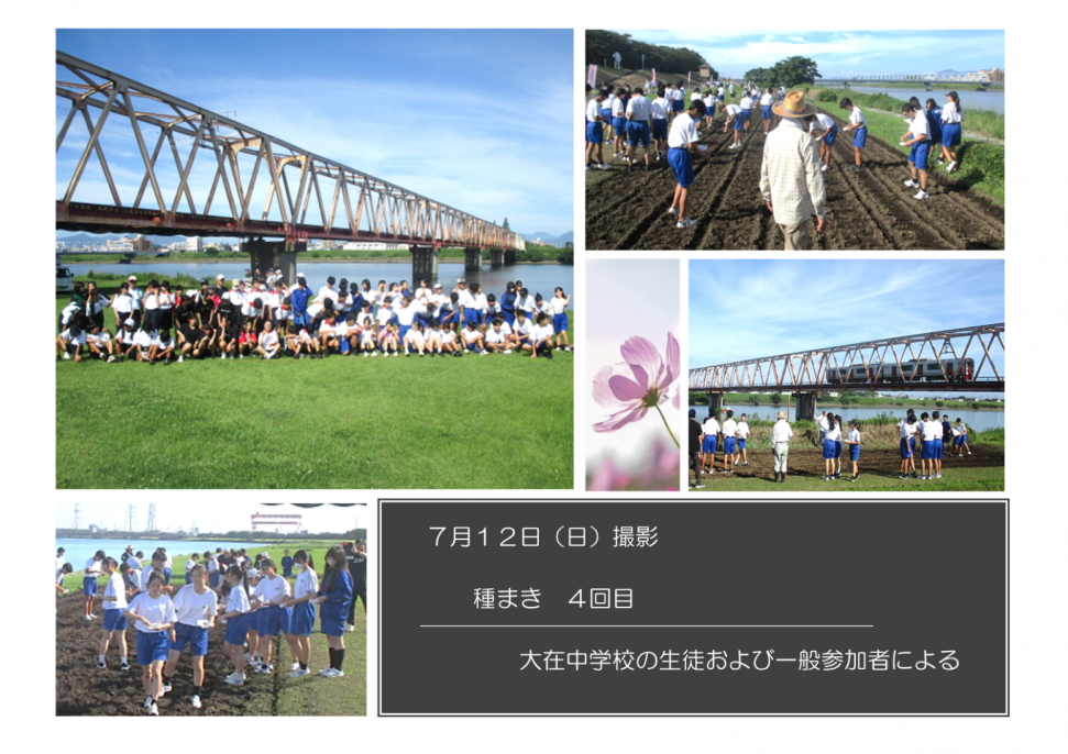 種まき4回目