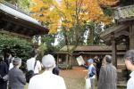 丸山神社ガイドの様子