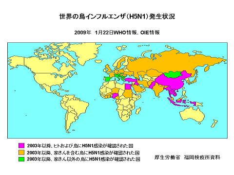 世界の鳥インフルエンザ（H5N1）発生状況の画像