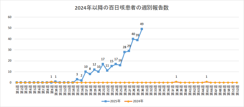 2024年以降の百日咳患者の週別報告数