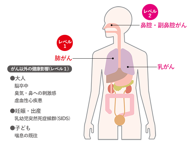 受動喫煙健康影響
