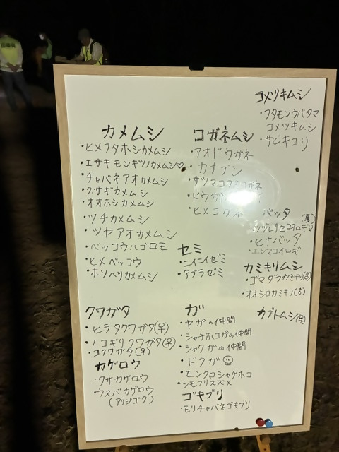 観察会の様子6