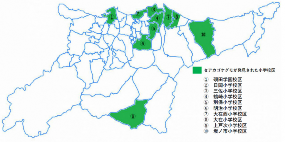 bumpu20250418