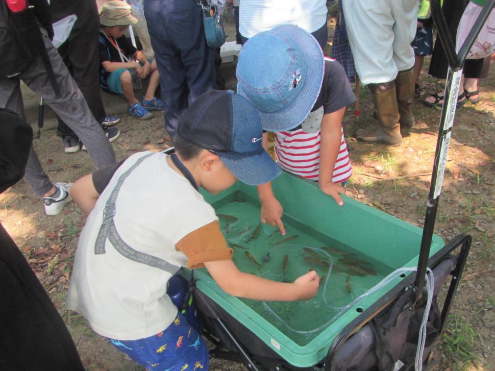 捕れた生き物を観察する参加者