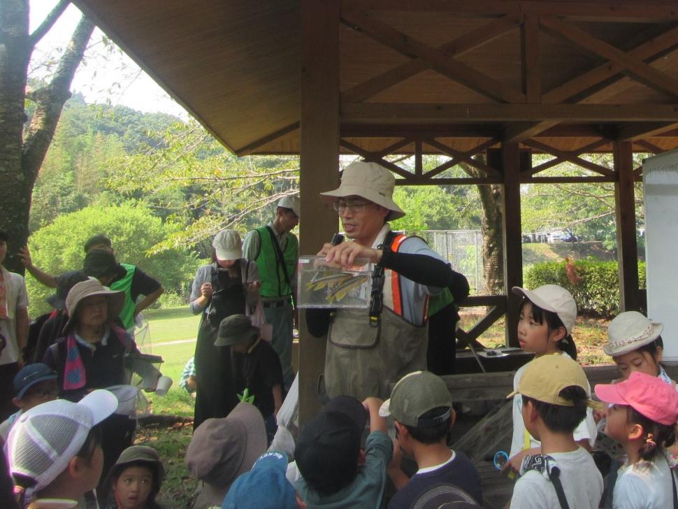 川の生き物の解説