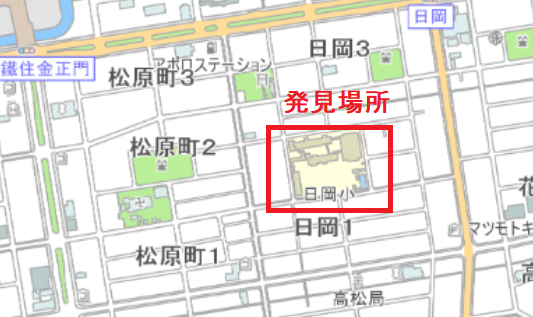 セアカゴケグモ20250225日岡