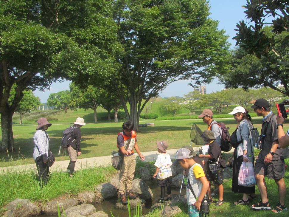 田で生き物を見つける参加者
