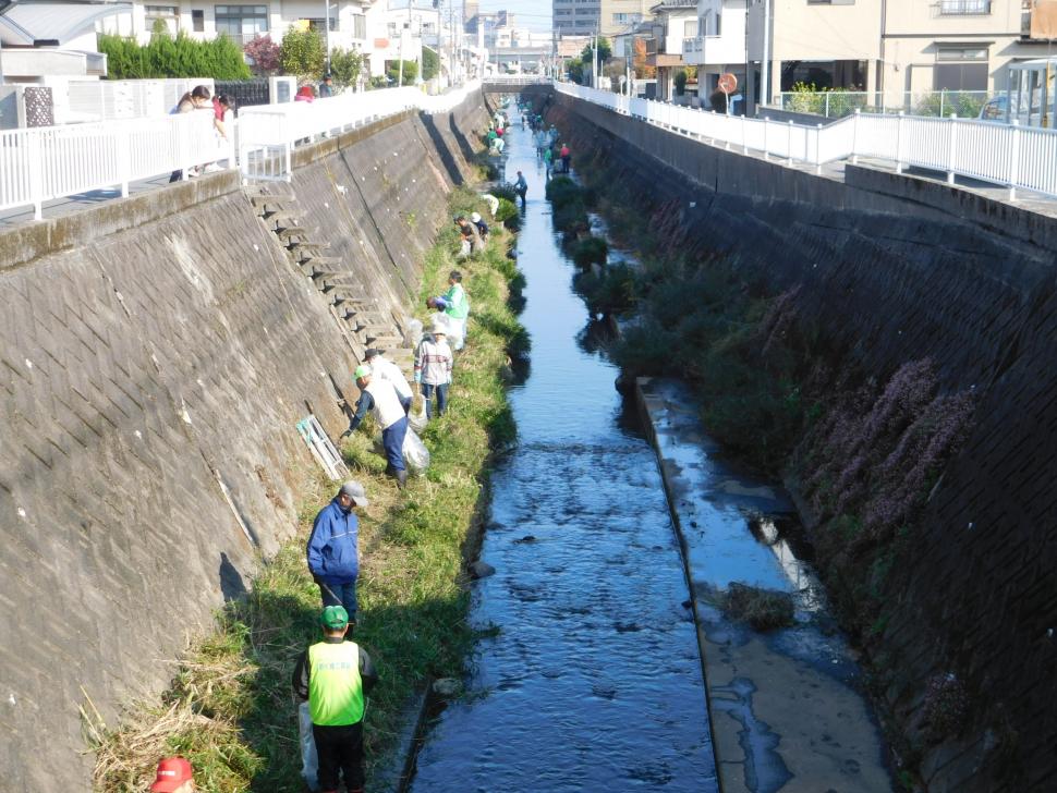 川の清掃の様子