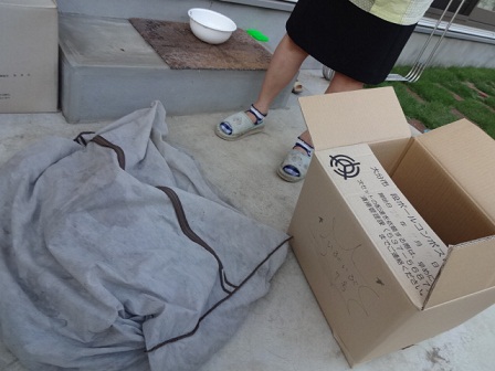 段ボールコンポストの画像