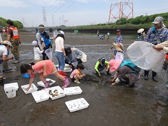 自然観察会の画像8