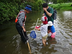 水辺の生物採集の様子2