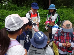 自然観察会の様子2