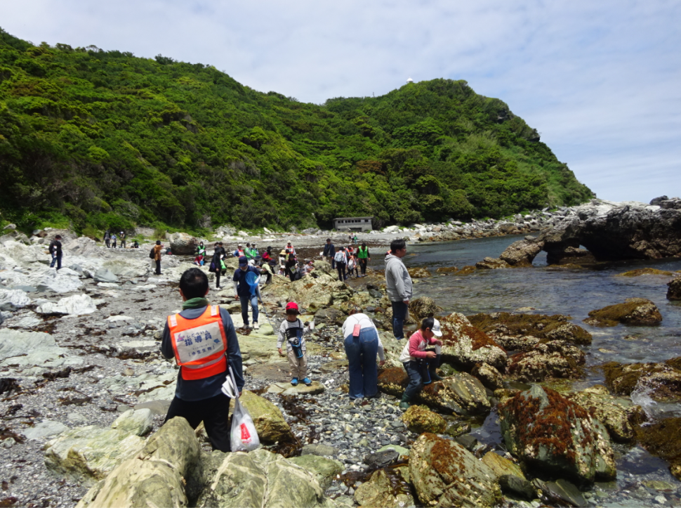 佐賀関の海岸で観察