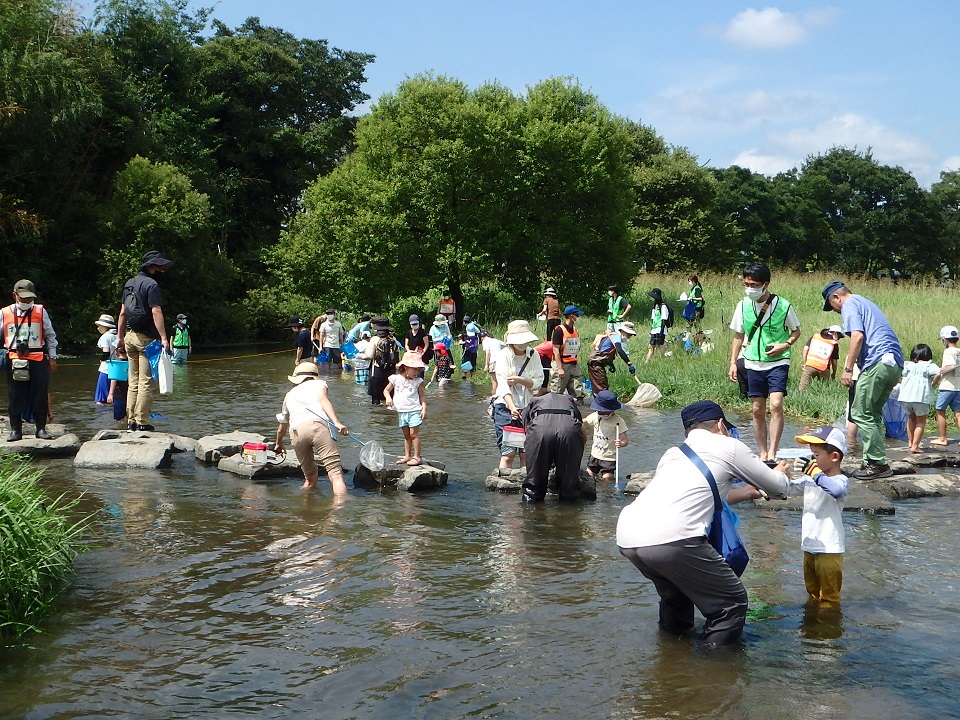 川の中で水生生物の観察を行う様子