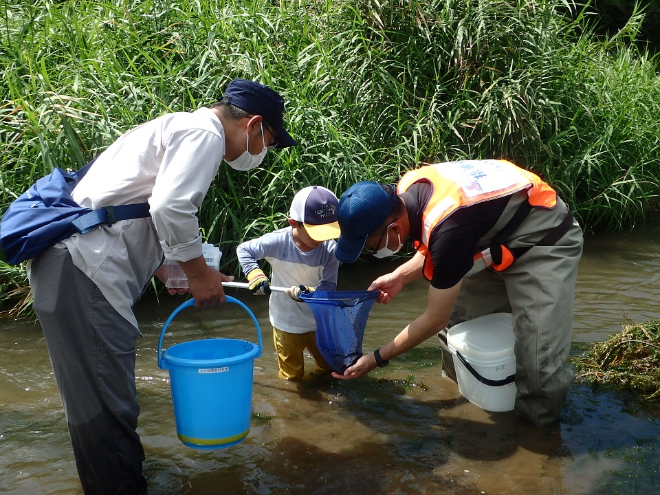 専門家と一緒に水生生物を捕まえて観察する親子