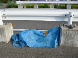 ブルーシートの使用例の画像