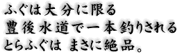 ふぐは大分に限る 豊後水道で一本釣りされる とらふぐはまさに絶品