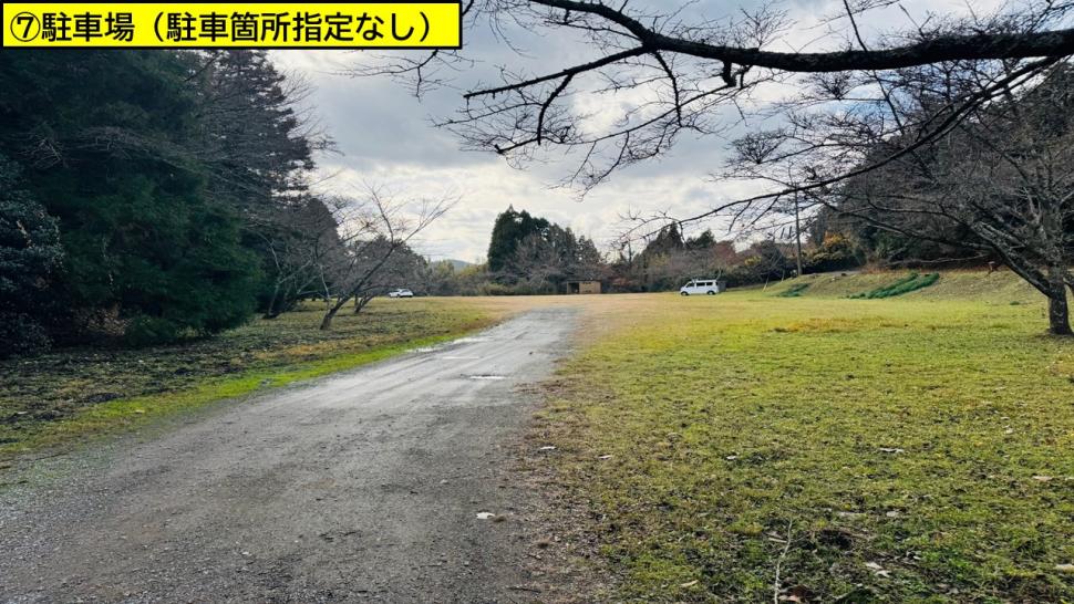 駐車場全体