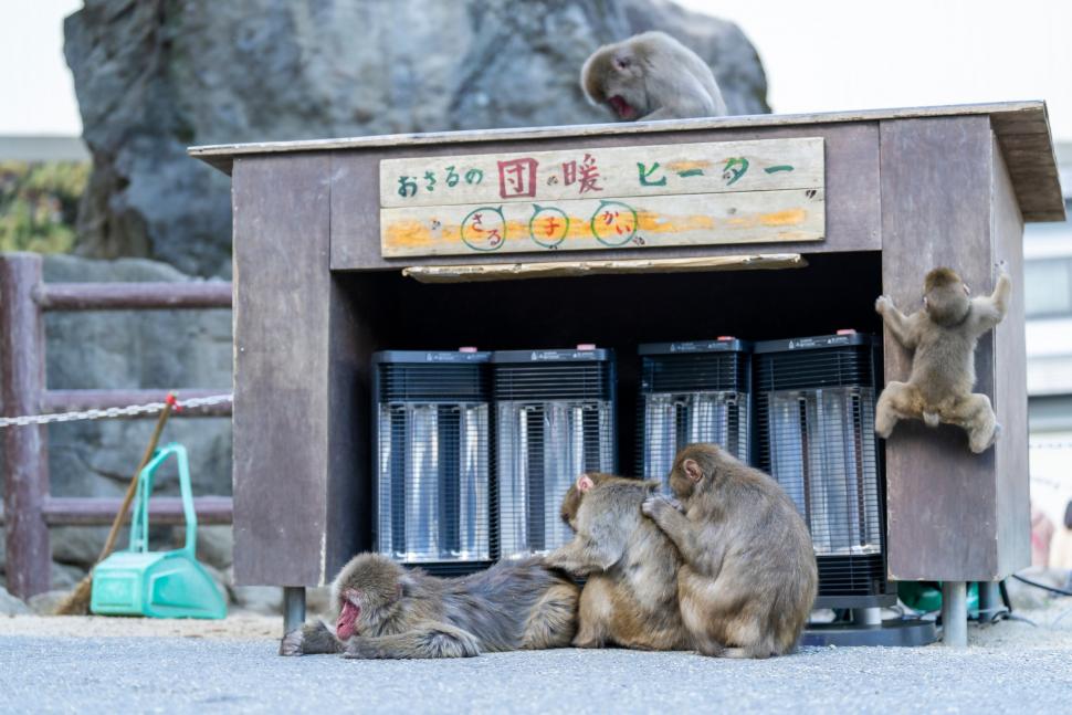 団段ヒーター写真