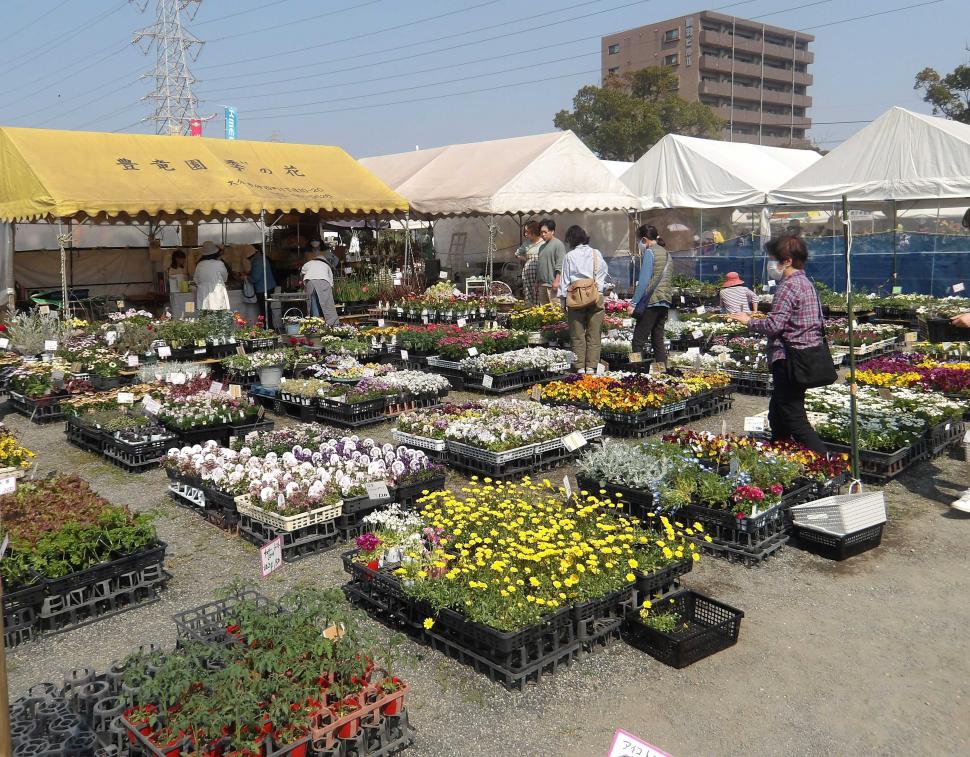 おおいた人とみどりふれあいいち