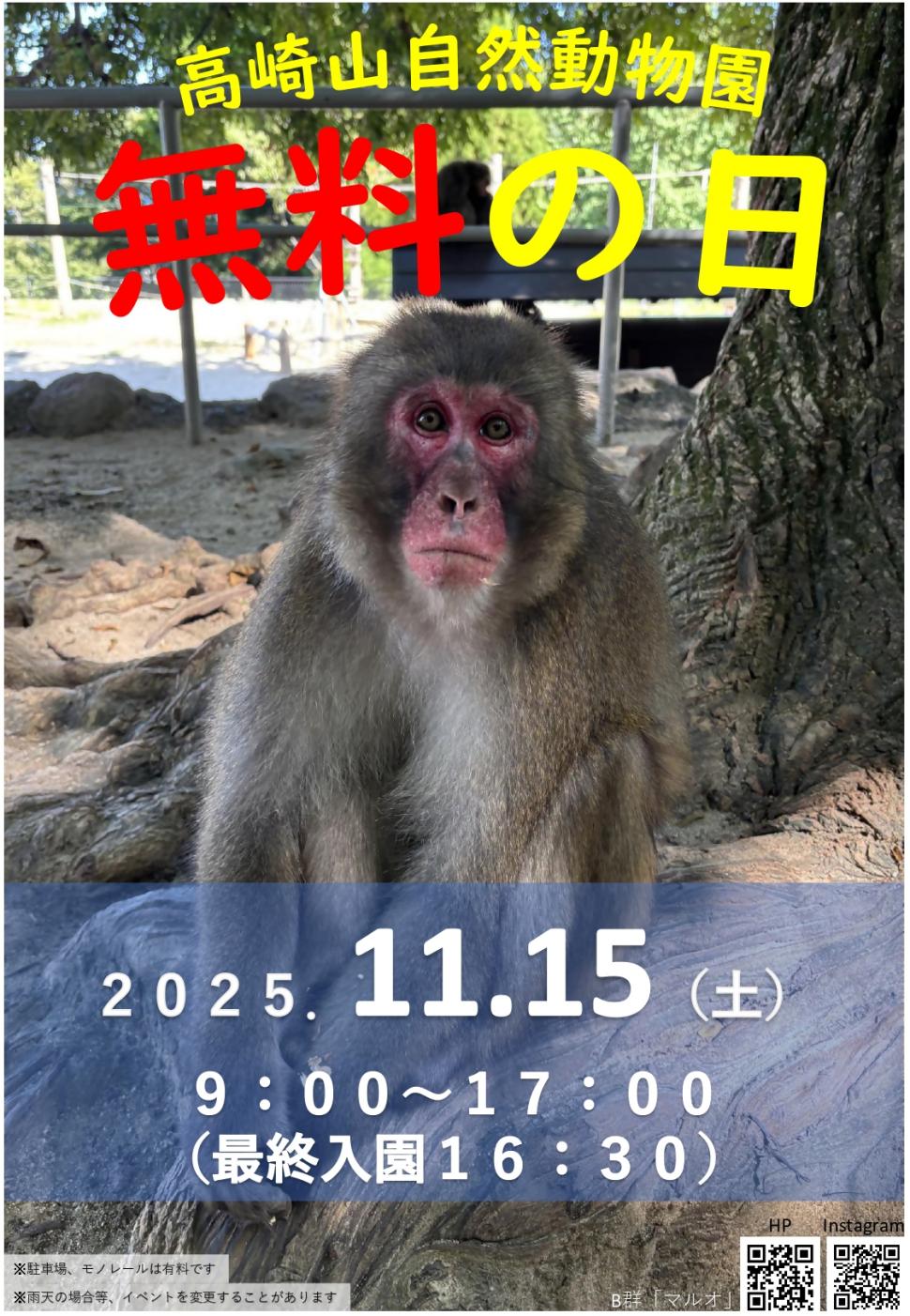 高崎山自然動物園「無料の日」