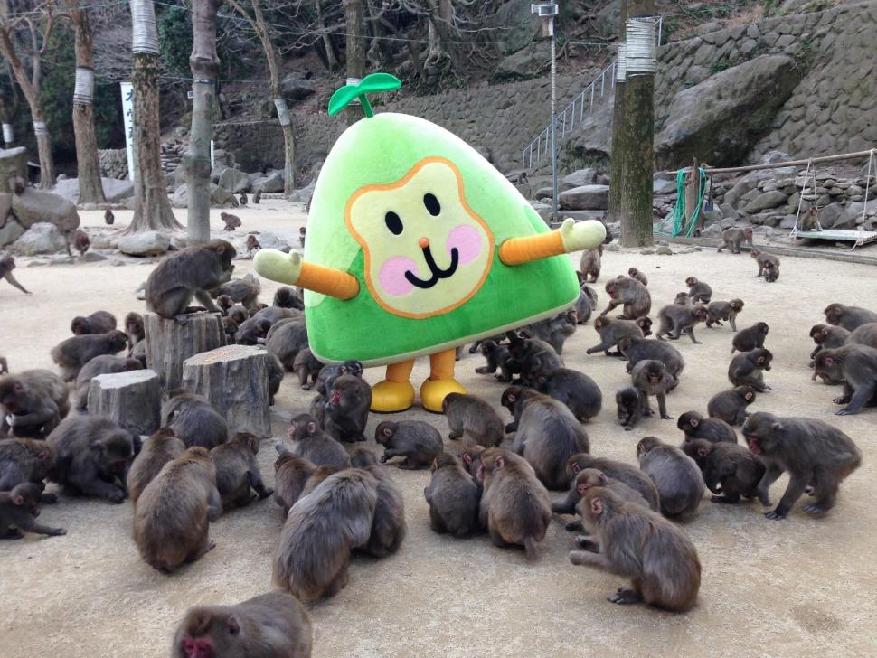 高崎山自然動物園「無料の日」