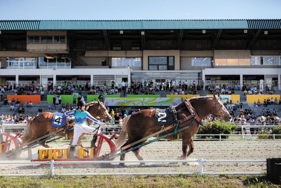 ばんえい競馬